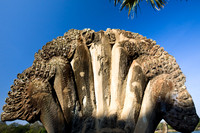 20081213_48045