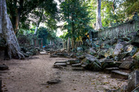 20081214_48648_7