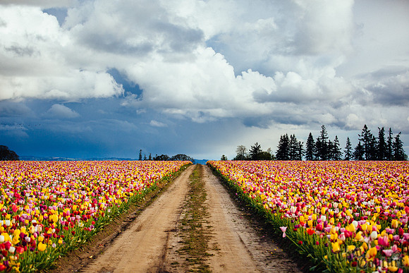 20140425_0092