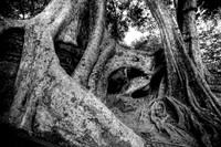 20081214_48645_6-2