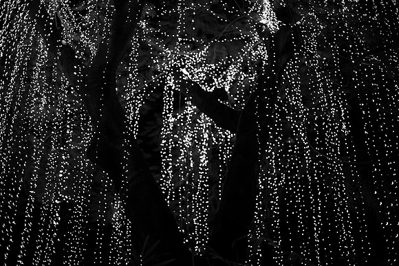 20081216_49323