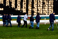 20081210_47569