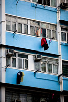 20081222_49948